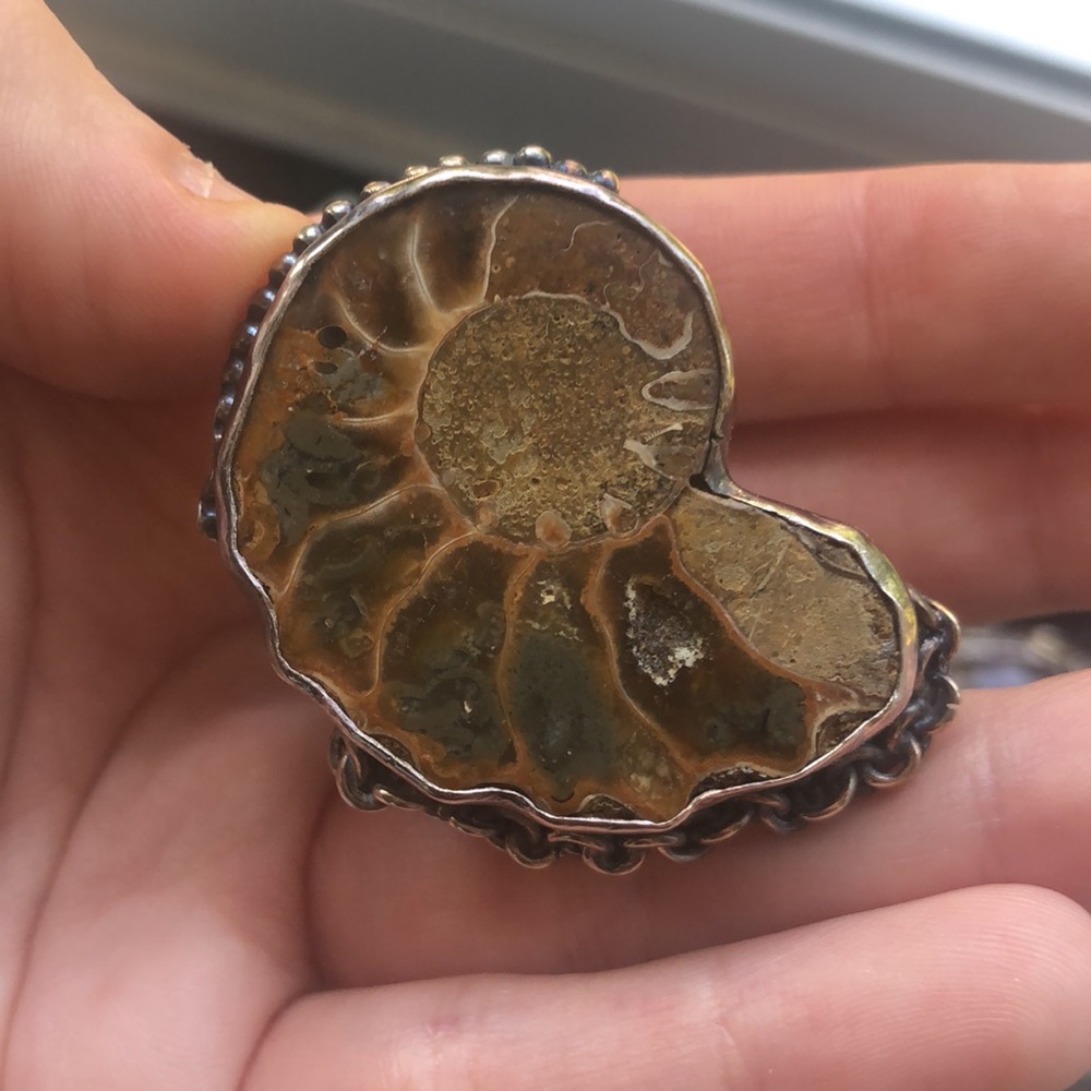 Ammonite Sterling Silver Ring